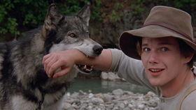 狗与狼的时间在线观看,在线观看时间线揭秘